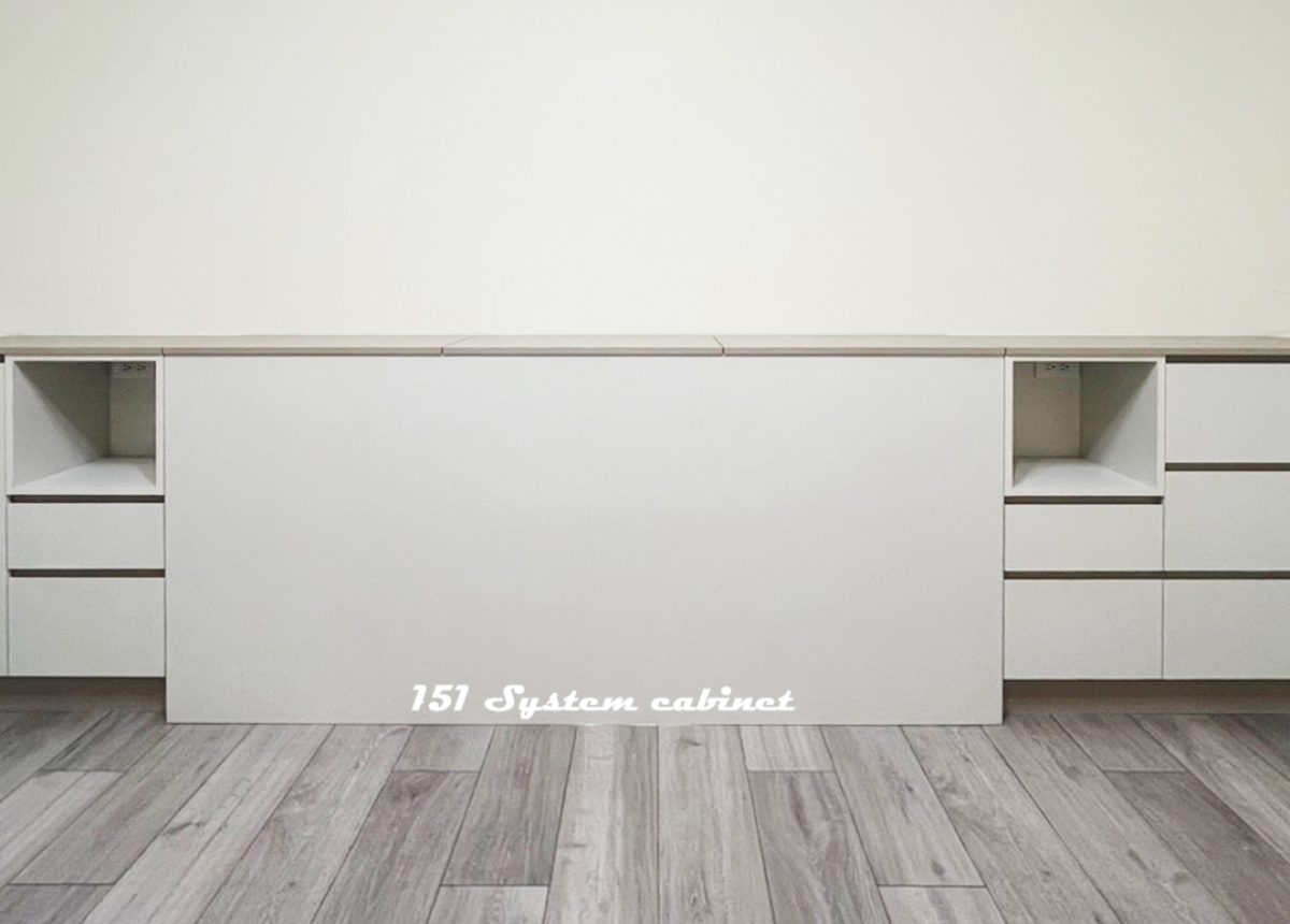 齊揚56號-4 拷貝